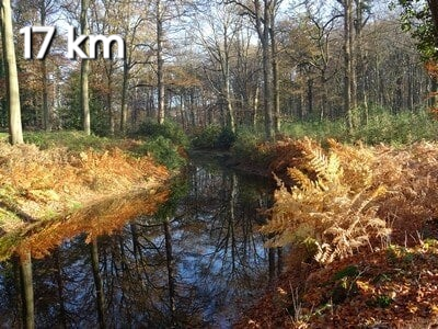 Groepswandeling vanuit Strijbeek. Wandeltocht over de Strijbeekse heide. Smokkelroute Strijbeekse Heide. Wandelen naar pannenkoekenrestaurant Het Smokkelaartje in Strijbeek.