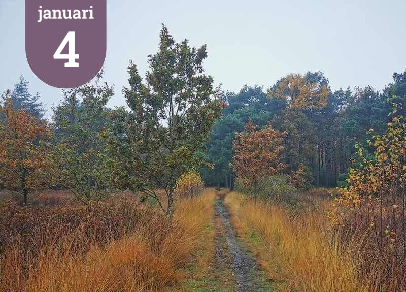 Groepswandeling en wandeltocht in Cromvoirt. Groepswandeling door het buurtschap Distelberg. Zondag 4 januari 2026.