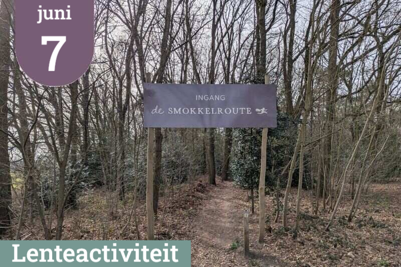 Groepswandeling zondag 7 juni over de Strijbeekse Heide. De wandeling gaat voor een groot gedeelte over het Smokkelpad. Bij het Smokkelaartje is er een horeca. .