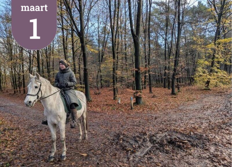Wandelroute zondag 7 december Loonse en Drunense Duinen. Groepswandeling Waalwijk Loonse en Drunense Duinen.