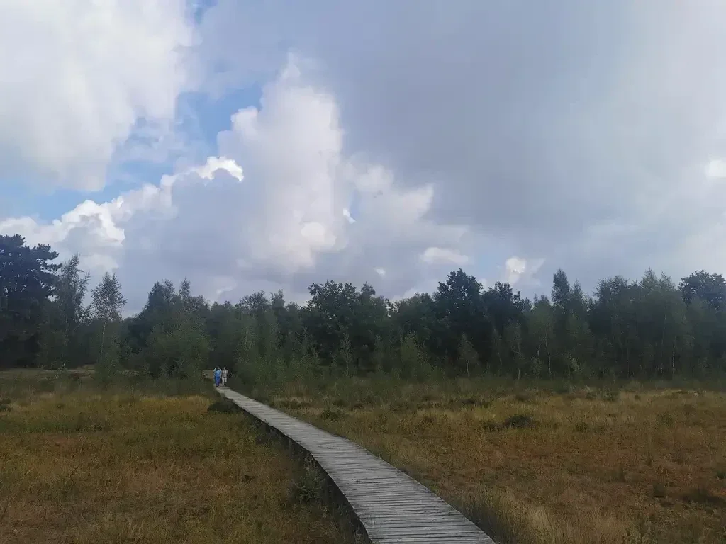 Landgoed Huis ter Heide. Wandelen over een 250 meter lang vlonderpad. Huis ter Heide met bossen en prachtige vennen.