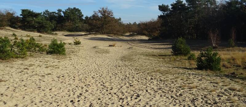 De Loonse en Drunense Duinen is het grootste zandstuifgebied van West-Europa. Het gebied wordt ook wel eens de Brabantse Sahara genoemd.In het prachtige natuurgebied kun je prachtig wandelen en genieten van de vele zanvlaktes. 