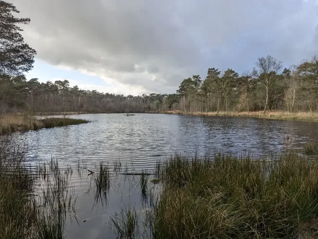 Wandelroute door de Oisterwijkse bossen en vennen. Het natuurgebied is één van de mooiste van Brabant. 