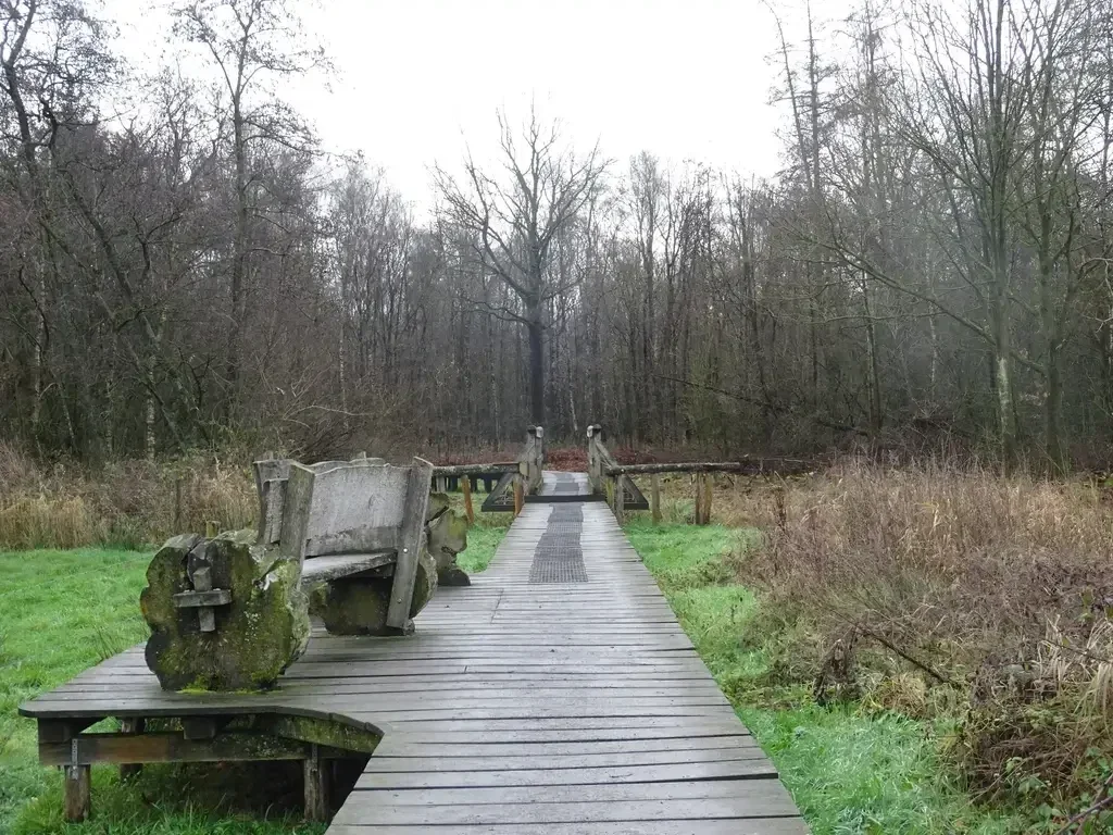 Mooie wandeling door de Regte Heide in Riel.  De wandeling voert je over de regte Heide  met haar prehistorische grafheuvels.  Wandelen langs de Mariagrot aan het Riels Hoefke.
