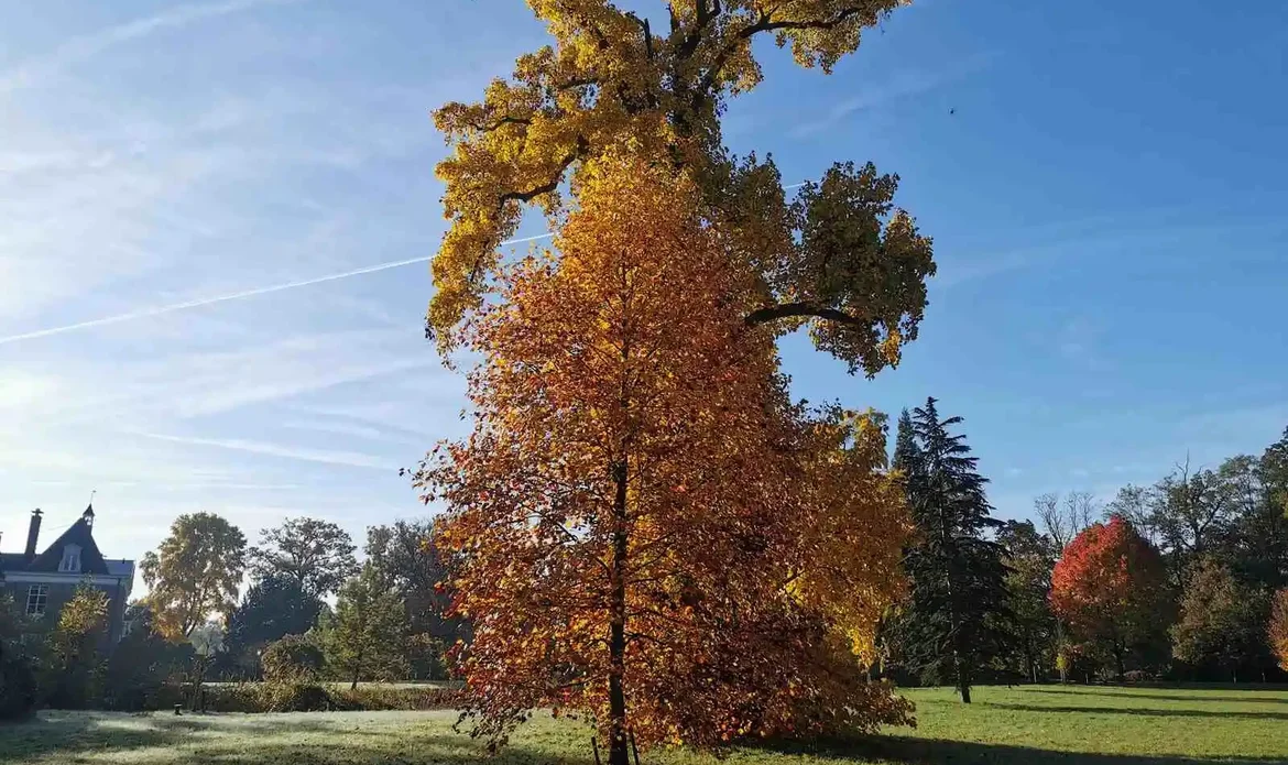 Plateau en Hageven wandelroute op de grens van Nederland en België. Wandelen door het beekdal van de Dommel.
