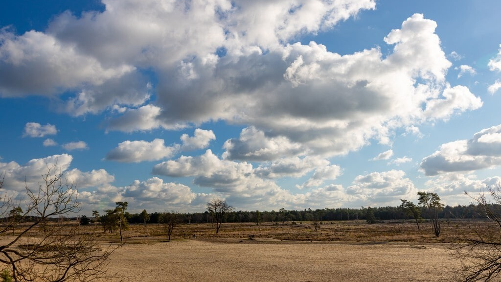 Nationaal Park Loonse en Drunense duinen.