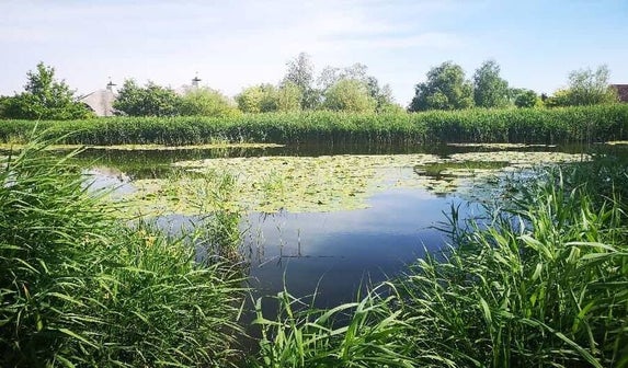 Wandelen Brabantse Wal in Bergen op Zoom.
