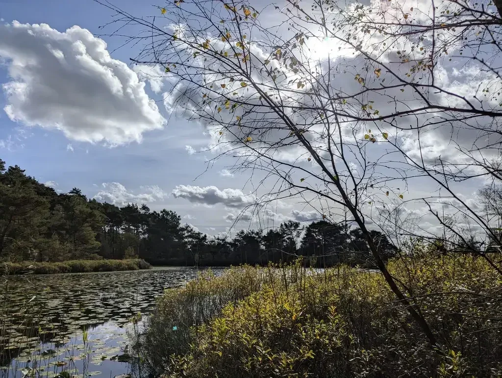 Wandelen Grotelsche Heide en Esperloop. Leuke en verrassende doorkijkjes in dit mooie natuurgebied. Mooi wandelen langs het beekje De Esperloop.