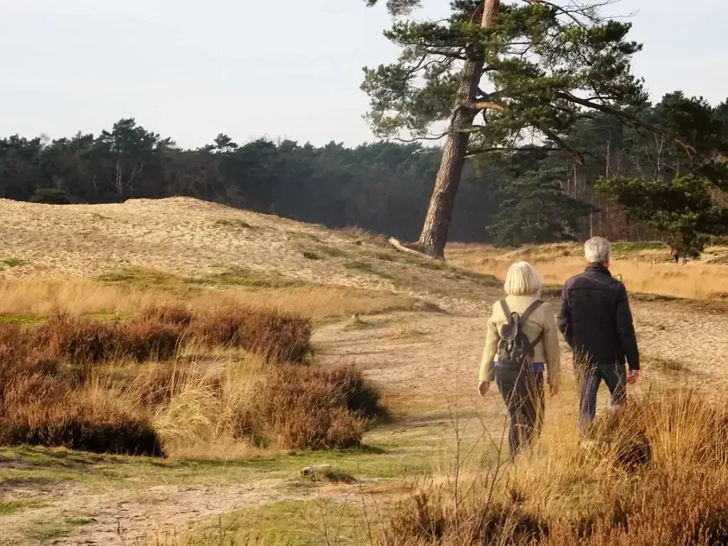 Wandelen in de Loonse en Drunense Duinen. Wandelen en genieten van de grote zandvlaktes, bossen en de heide. Een mooie wandeling door dit mooie stuifzandgebied.