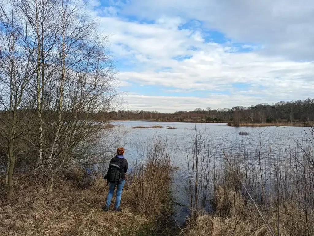 Wandelen Oisterwijkse bossen en vennen. Wandelen natuurgebieden Oisterwijk en Kampina. Genieten van sfeervolle vennen in Oisterwijk.