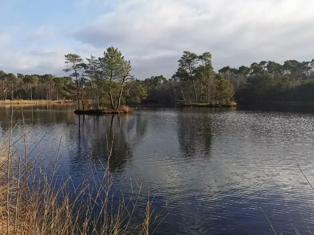 De Oisterwijkse Bossen en Vennen zijn één van de mooiste wandelgebieden van Brabant. Afwisselende wandeling met bossen, heidevelden, en sfeervolle vennen. 