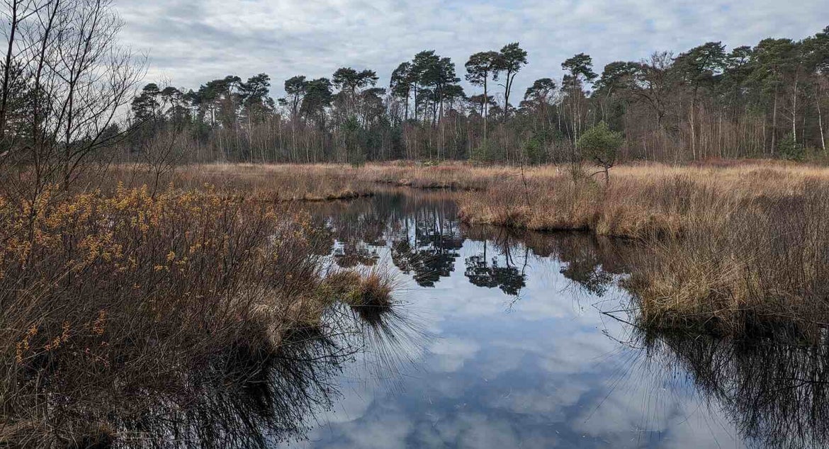 Wandelroute ter nagedachtenis van de vermoorde Giovanni Castione. Wandelroute door de Kampina en de Mortelen.
