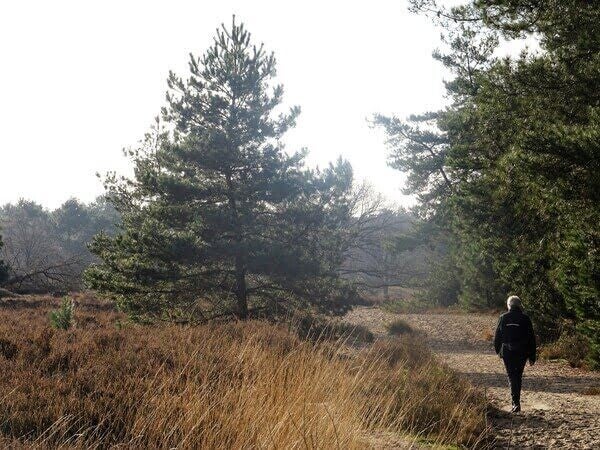 Landgoed Plantloon is onderdeel van de Loonse en Drunense Duinen. Prachtige karakteristieke lanen, leuke verrassende bospaadjes en fraaie doorkijkjes wisselen elkaar af. Landgoed Plantloon is een afwisselend landschap.