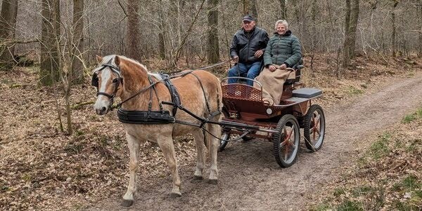 Wandelroute Loonse en Drunense Duinen. De wandeling gaat door het grootste stuifzandgebied van West-Europa.