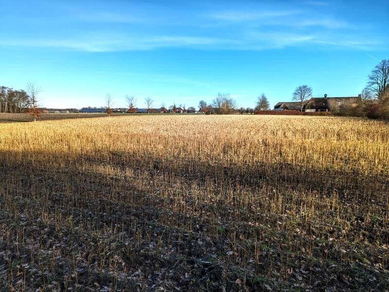 Chaamse bossen - 16 km