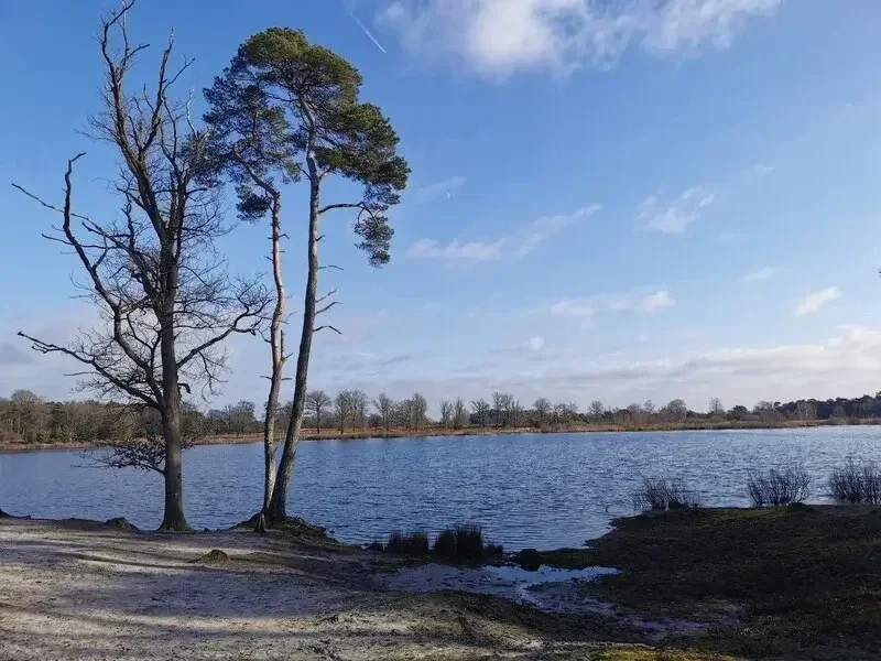 Zondag 1 november  - De Oude Hondsberg - Oisterwijk - 16 km