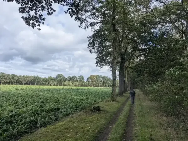 Zondag 7 februari - Boerdonk - 14 km