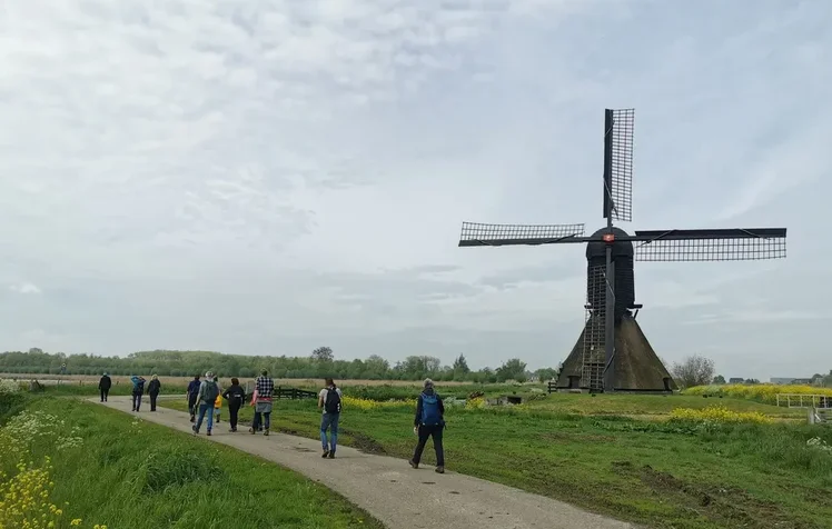 Wandeltochten en groepswandelingen gemeente Altena. Wandelen in de Biesboschlinie. Groepswandelingen in Brabant.