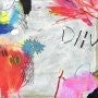 Diiv : Is the is are 2lp