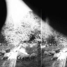 Godspeed you! black emperor : Asunder, sweet and other distress lp