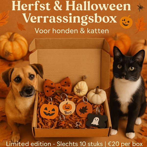 Herfst en halloween box
