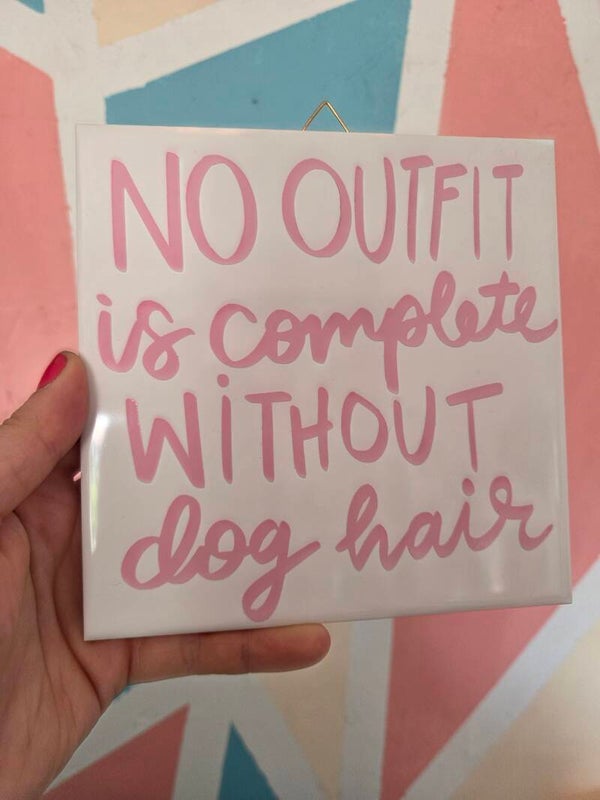 No outfit is complete without dog hair