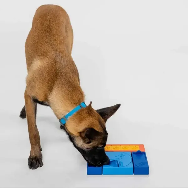 Pawzler Beginner Set