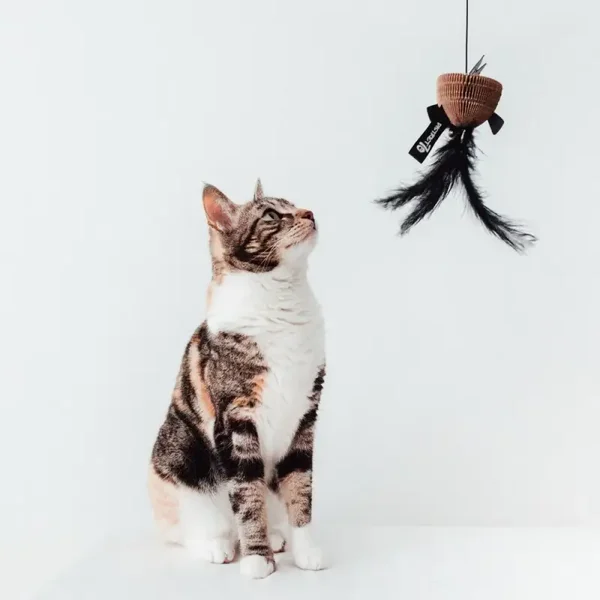 BAIT Kartonnen Kattenhengel