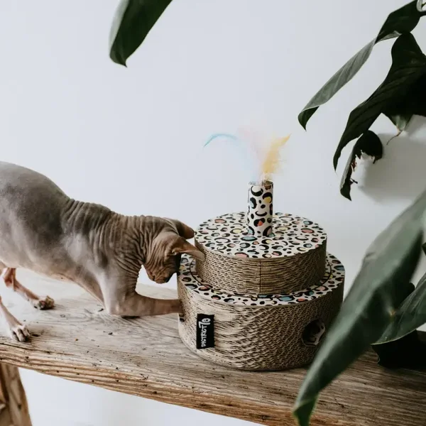 District 70 - FIESTA