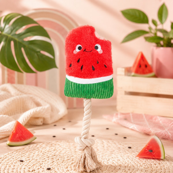 Food Party – Watermelon Popsicles
