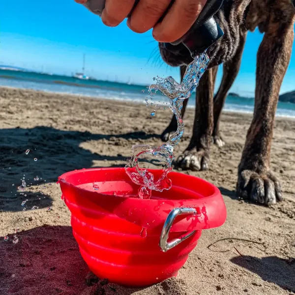 Kurgo - Collaps-a-Bowl