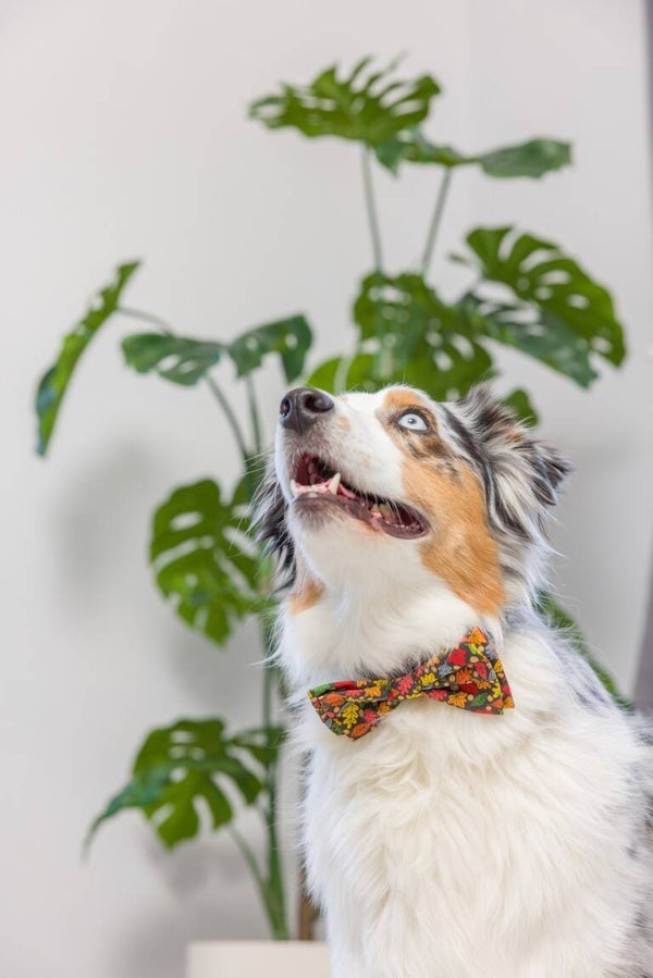 H&K Bow Tie Leaves & Nuts