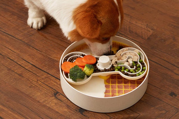 Puzzle Feeder Lick Bowl