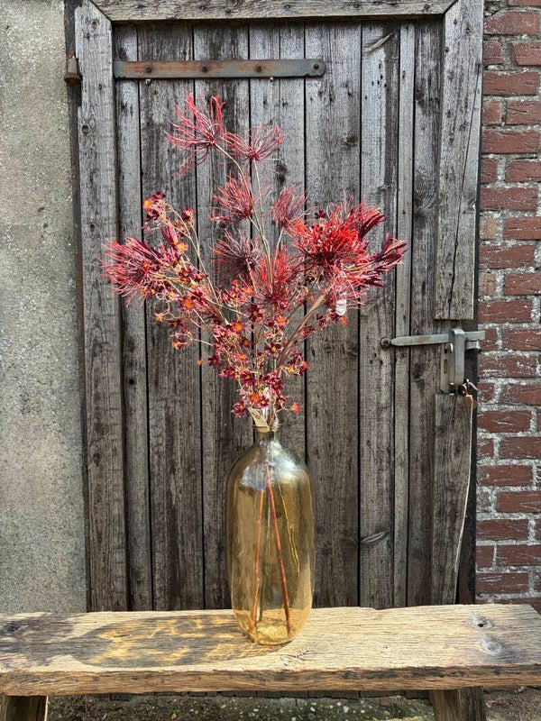 Red ember