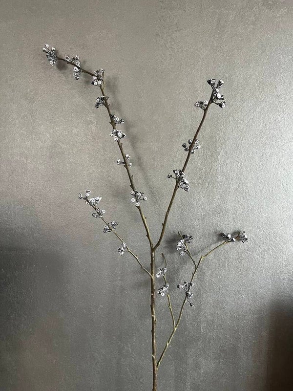 Eucalypthus zaden -130 cm