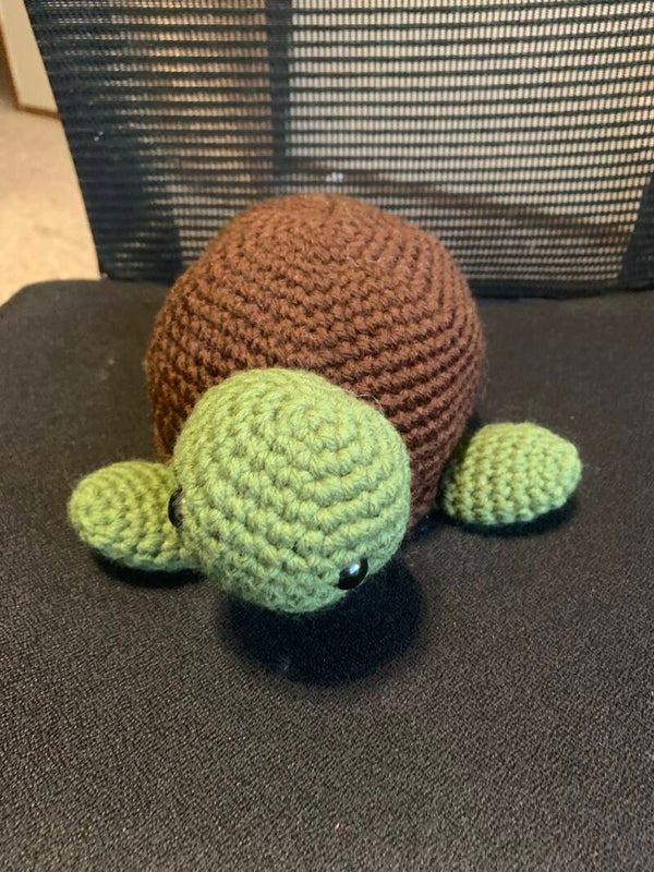 Turtle