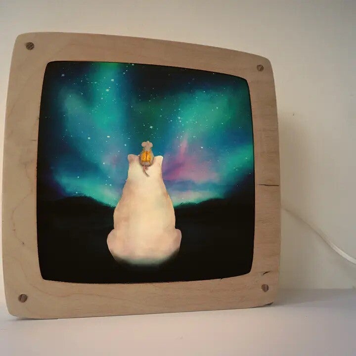 Plaat Noorderlicht