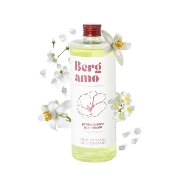 Wasparfum Bergamo 400ml – Profumiamo