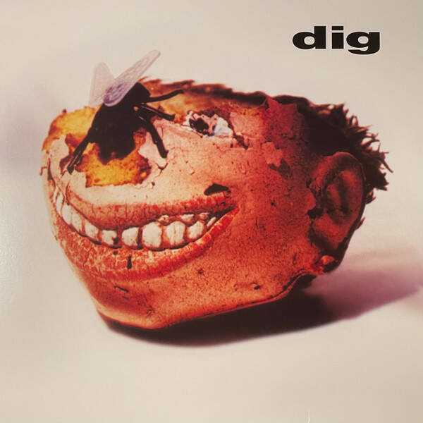LP DIG - DIG - Alternative / Grunge / Rock