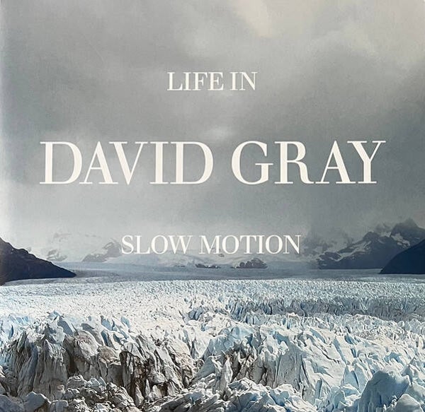 LP David Gray - Life In Slow Motion