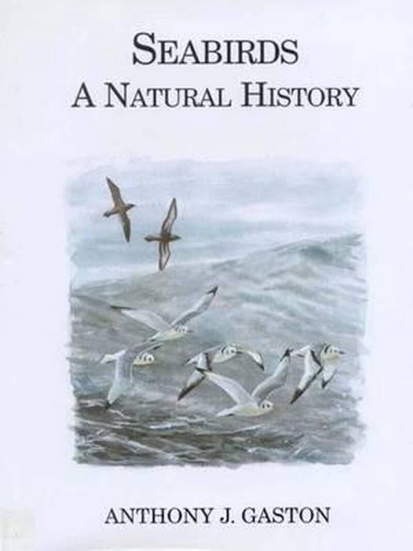Seabirds