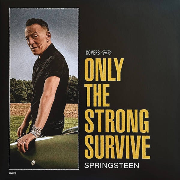 LP Bruce Springsteen Covers Only the strong survive