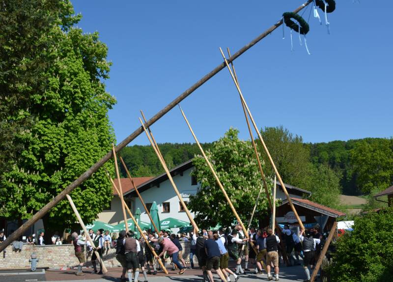 Maibaum2025_1