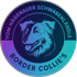 Border Collie Zucht