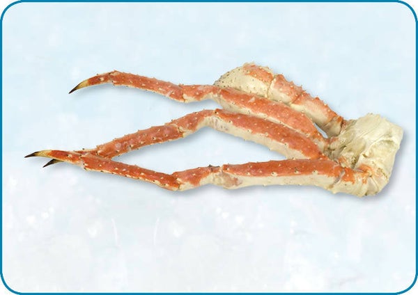 帝王蟹腿 (熟) King crab poten gekookt 800/1000 1 kg | nr.1251