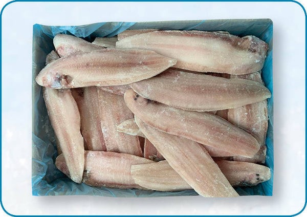 大西洋龍利魚（去皮） | Atlantische sliptong zonder vel | 10 kg | nr.760