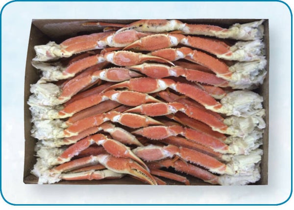 雪蟹腿(已煮) Snowcrabpoten gekookt | per 9,07 kg | nr.1411