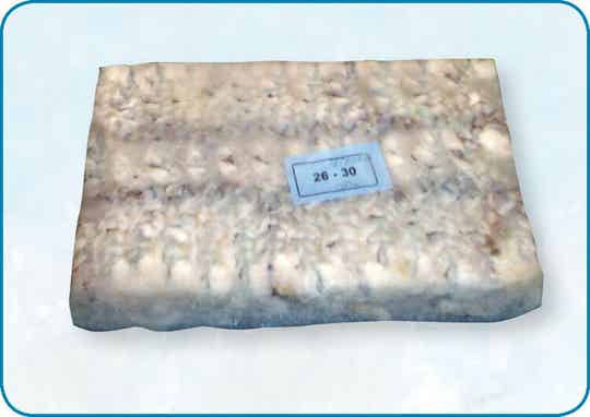 無殼蝦 Vannamei garnaal 21/25 Zonder schil  | 7,2kg | nr.494