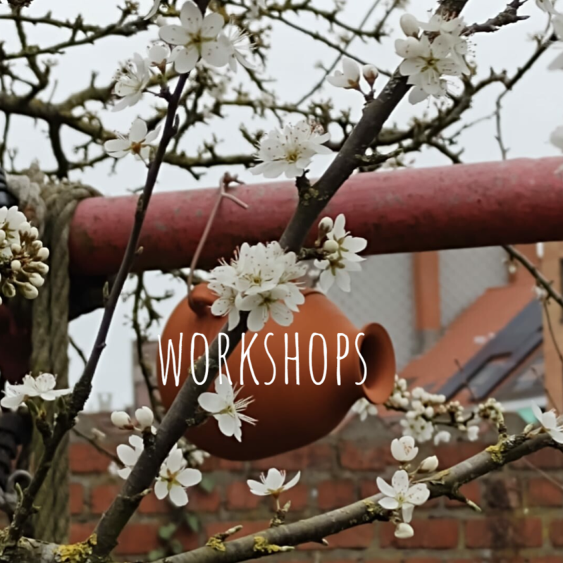 Workshops