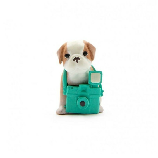Studio Pets Hondje Star